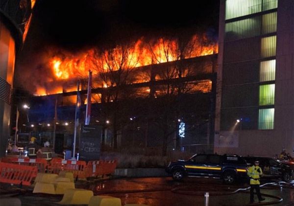 Пожар унищожи 1400 коли във Великобритания (ВИДЕО)