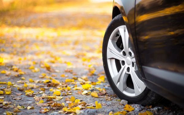 10 съвета за шофиране през есента