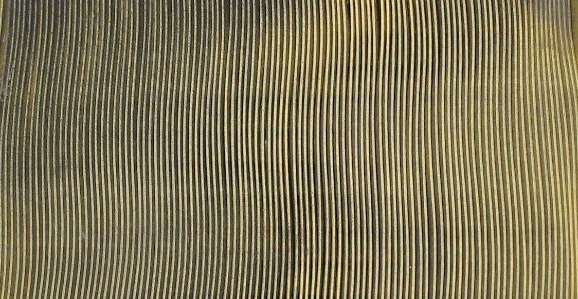 Кои са най-евтините части в колата, които могат да се развалят? Кои са най-евтините части в колата, които могат да се развалят?