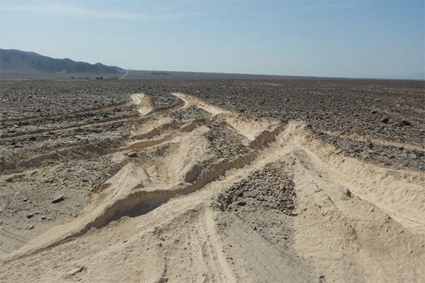 Тираджия затъна и разруши част от линиите в Наска Тираджия затъна и разруши част от линиите в Наска