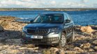 Пет проблема при Skoda Kodiaq на старо