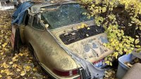 Porsche 911 targa прекара 31 години под борови шишарки