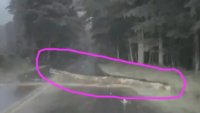Автопилотът на Tesla не видя голямо препятствие на пътя