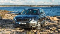 Пет проблема при Skoda Kodiaq на старо