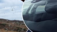 Автомобилните стъкла се нуждаят от радикално пролетно почистване