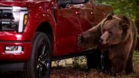  Мечка разби чисто нов Ford F-150 