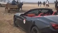 Каруца с волове изтегли закъсало на плаж Ferrari