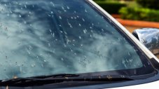 Как да избегнем насекоми по предното стъкло на колата