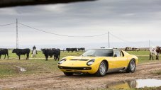 Lamborghini Miura се запозна със семейство Миура (ВИДЕО)