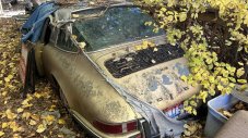 Porsche 911 targa прекара 31 години под борови шишарки