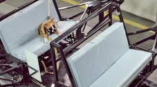 Subaru мисли и за кучетата в автомобила