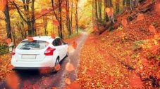 Какво не трябва да правите с автомобила през есента
