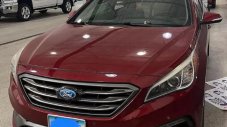 Защо собственици на Hyundai маскират колите си като Ford?