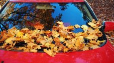Как да предпазите колата от натрупване на листа през есента
