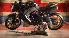 Vilner превърна Triumph Speed Triple в Bulldog 
