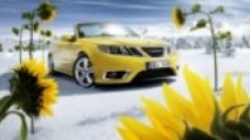 Saab 9-3 Cabriolet изгрява от север