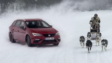Кой ще победи на лед? Seat Leon Cupra срещу впряг кучета (ВИДЕО)