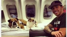 Хамилтън прати самолет за кучето си