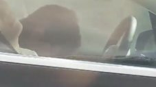 Шофьор спи зад волана на Tesla при скорост 100 км/ч