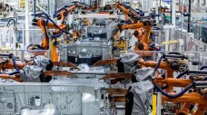 Volkswagen нае 100 овце на работа