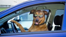 Какво обезценява един автомобил при продажба?