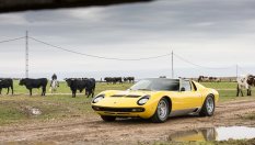 Lamborghini Miura се запозна със семейство Миура (ВИДЕО)