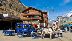 Швейцарски град смени конете със служебни електромобили