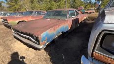 Колекция от над 200 ретро коли ръждясва на открито