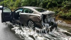 Най-абсурдният пътен инцидент в историята