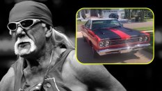 Любимите коли на Хълк Хоган 