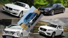 Петте най-популярни хибрида на старо