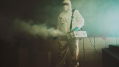 Дървеници превзеха автомобилен завод