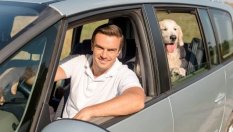 Защо не трябва да се кара с отворени прозорци