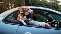 6 причини да не карате с отворени прозорци