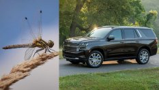 Мухи извадиха от строя 2600 нови Chevrolet Tahoe