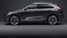 11 модела, които държат дизела жив