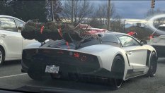 Ето как не се пренася елха с киткар