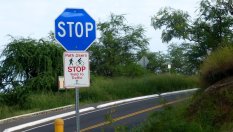 Знаете ли какво означава синият знак &bdquo;STOP&ldquo;?
