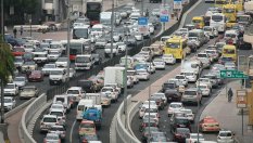 Знаете ли колко коли има в света?