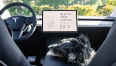 Tesla Model Y е най-продаваният SUV за годината