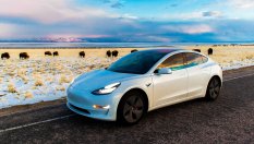 Собственици и фенове на Tesla настояват за по-високо качество
