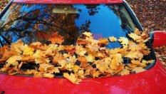 Как да предпазите колата от натрупване на листа през есента