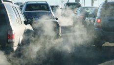 Колите над 20 години у нас са вече близо 50%