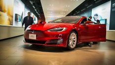 Tesla се сблъска с неочакван проблем - плъхове