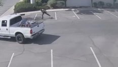 Крадец се запали при източване на бензин