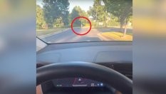 Защо фенове на Tesla слагат децата си пред движещи се коли?