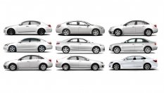 10 причини защо колите все повече си приличат