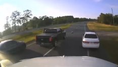 Костенурка предизвика верижна катастрофа