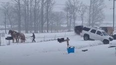 Понякога и две конски сили са достатъчни 