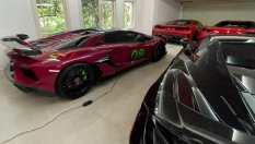 Фармацевт-измамник остана без колекция от суперколи